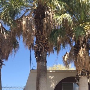 Meet your Posher, Yung